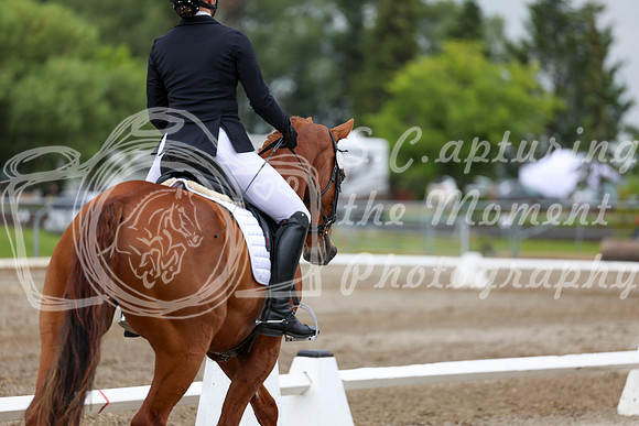 2025 - Dressage Festival - Sunday July 6th - 12198