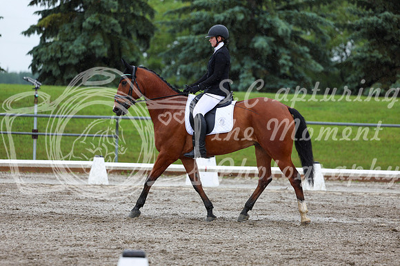 2025 - Dressage Festival - Sunday July 6th - 07320