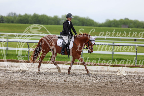 2025 - Dressage Festival - Sunday July 6th - 06167
