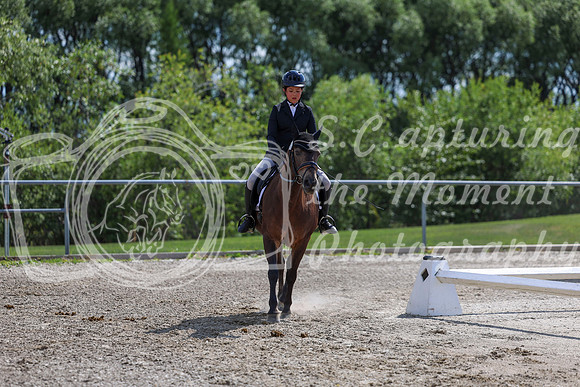 2025 - Dressage Festival - Saturday July 5th - 15425