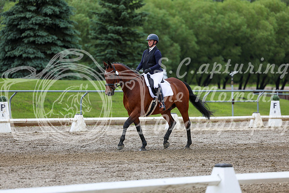 2025 - Dressage Festival - Sunday July 6th - 11784