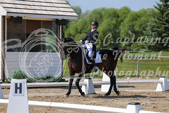 2025 - Dressage Festival - Saturday July 5th - 03746