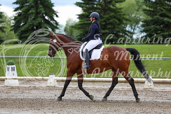 2025 - Dressage Festival - Sunday July 6th - 11802