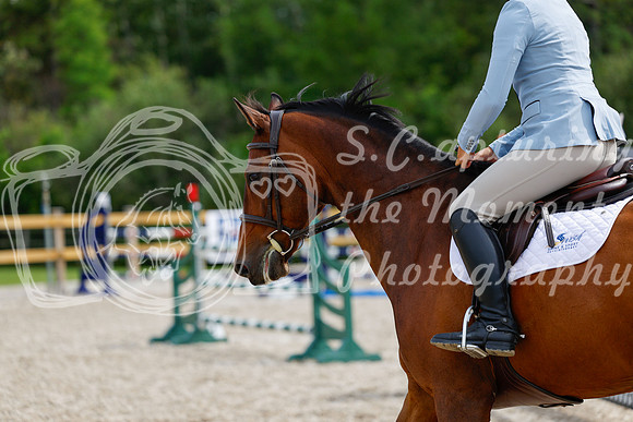 2025 - Haylee - Picco Horse Show - Friay July 25th 04616