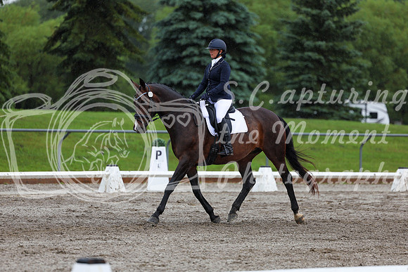 2025 - Dressage Festival - Sunday July 6th - 05659