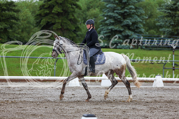 2025 - Dressage Festival - Sunday July 6th - 02127