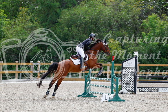 2025 - Haylee - Picco Horse Show - Sunday July 27th 03873