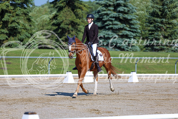 2025 - Dressage Festival - Saturday July 5th - 01698