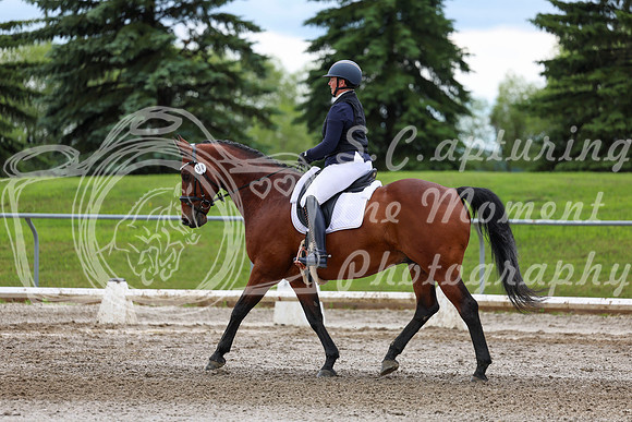 2025 - Dressage Festival - Sunday July 6th - 11806
