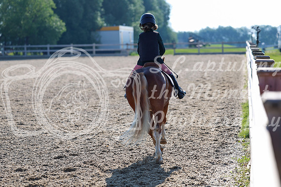 2025 - Dressage Festival - Saturday July 5th - 00023