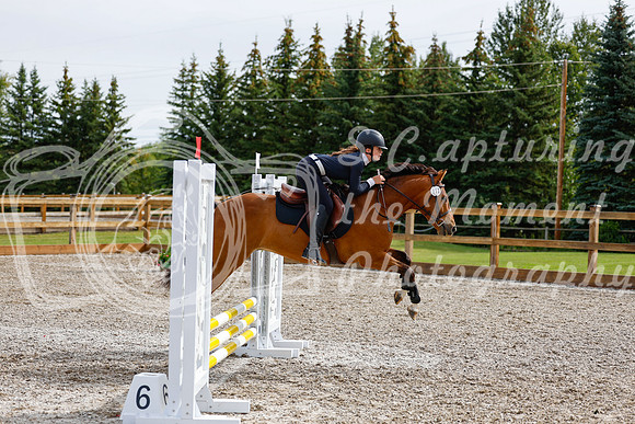 2025 - Haylee - Picco Horse Show - Friay July 25th 00668
