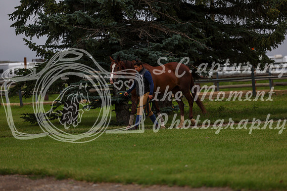 2025 - Shea - Mid Summer Classic II - Thursday July 17th - 00003