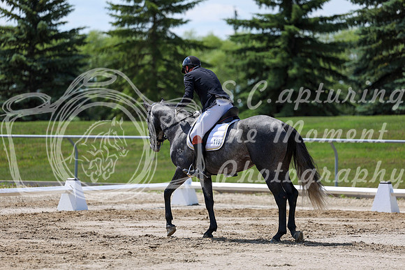 2025 - Dressage Festival - Saturday July 5th - 09239