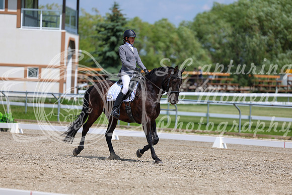 2025 - Dressage Festival - Saturday July 5th - 10298