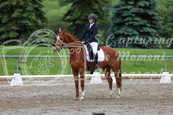 2025 - Dressage Festival - Sunday July 6th - 12278