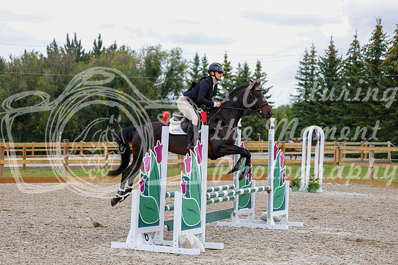 2025 - Haylee - Picco Horse Show - Saturday July 26th 05249