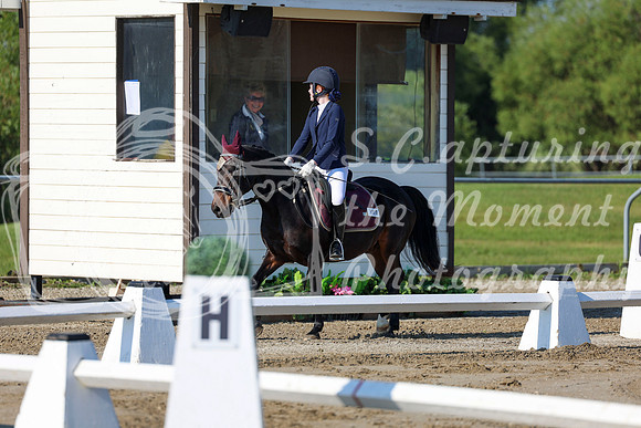 2025 - Dressage Festival - Saturday July 5th - 00647