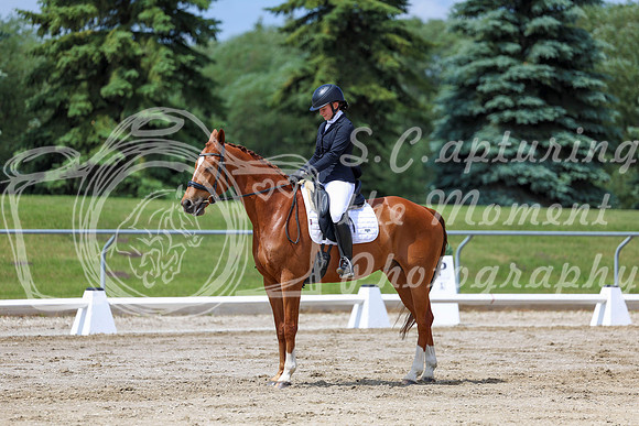 2025 - Dressage Festival - Saturday July 5th - 07851