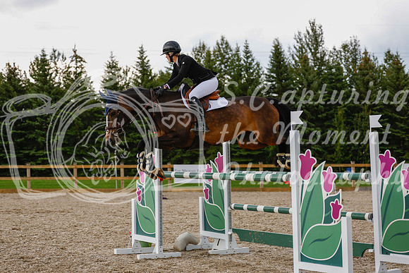 2025 - Haylee - Picco Horse Show - Sunday July 27th 06934