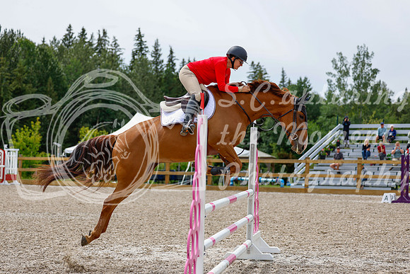 2025 - Haylee - Picco Horse Show - Friay July 25th 03306