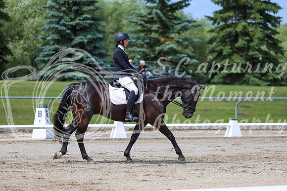 2025 - Dressage Festival - Saturday July 5th - 07097