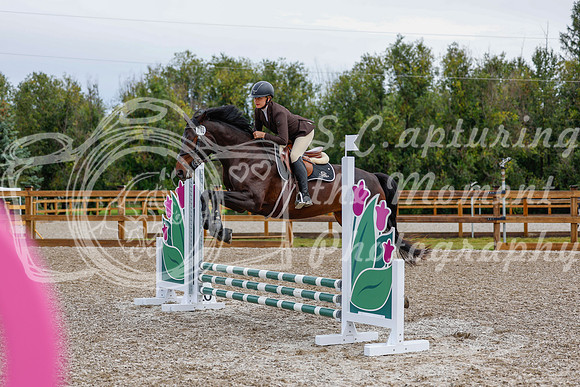 2025 - Haylee - Picco Horse Show - Friay July 25th 00451