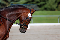 2025 - Dressage Festival - Saturday July 5th - 01255