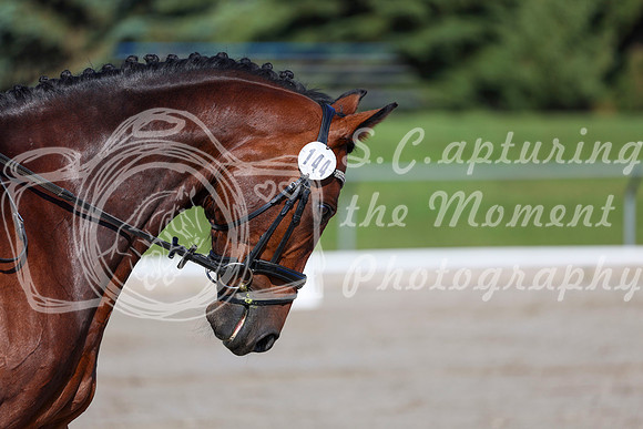 2025 - Dressage Festival - Saturday July 5th - 01255