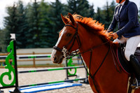 2025 - Haylee - Picco Horse Show - Saturday July 26th 08585
