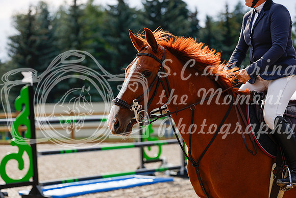 2025 - Haylee - Picco Horse Show - Saturday July 26th 08585