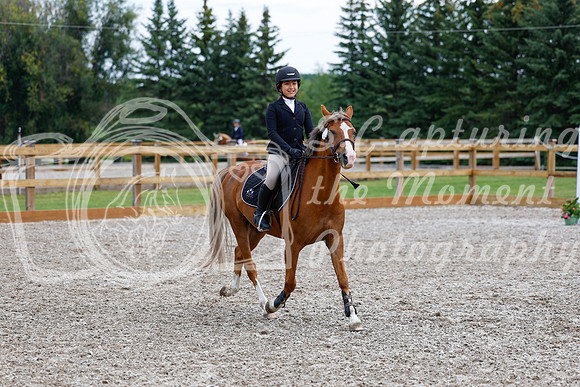 2025 - Haylee - Picco Horse Show - Saturday July 26th 02303