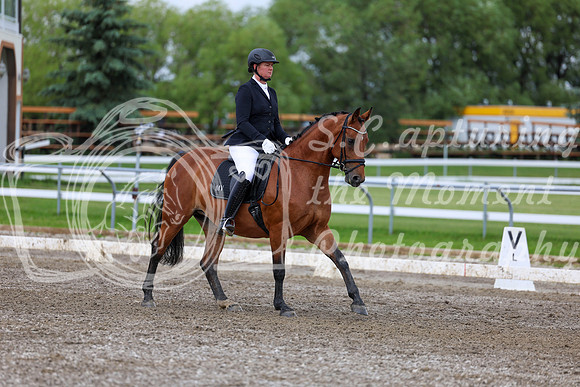 2025 - Dressage Festival - Sunday July 6th - 11702