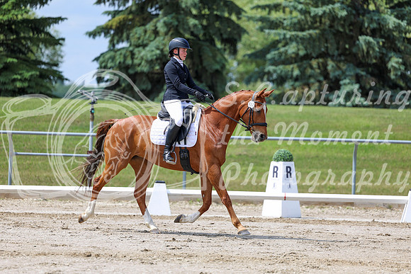 2025 - Dressage Festival - Saturday July 5th - 07874