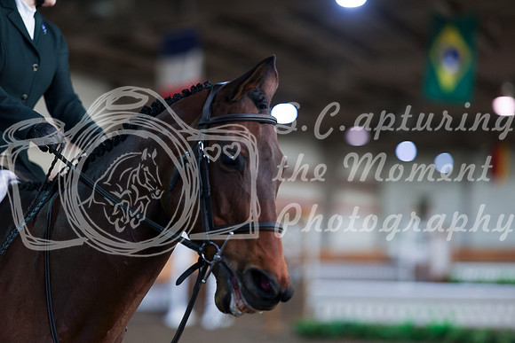2025 - HJ Schooling - Saturday March 22nd - 7398