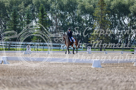 2025 - Dressage Festival - Saturday July 5th - 02327