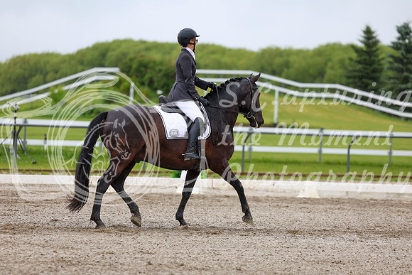 2025 - Dressage Festival - Sunday July 6th - 04552