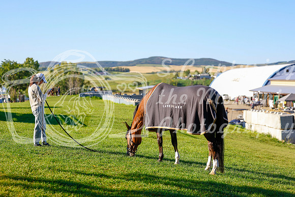 2025 - Haylee - Rocky Mountain Classic III - Thursday August 21st - 03109