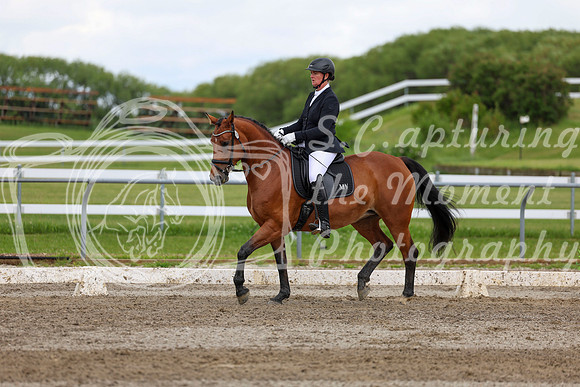 2025 - Dressage Festival - Sunday July 6th - 11713
