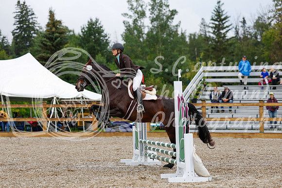 2025 - Haylee - Picco Horse Show - Sunday July 27th 00897