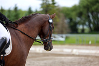 2025 - Dressage Festival - Sunday July 6th - 09560