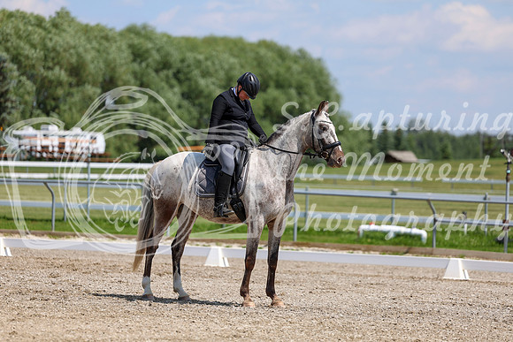 2025 - Dressage Festival - Saturday July 5th - 09021
