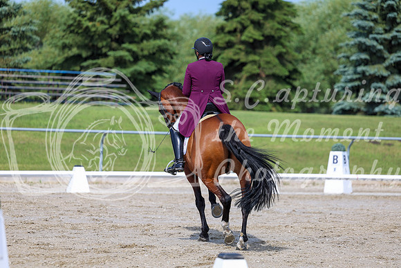 2025 - Dressage Festival - Saturday July 5th - 03214