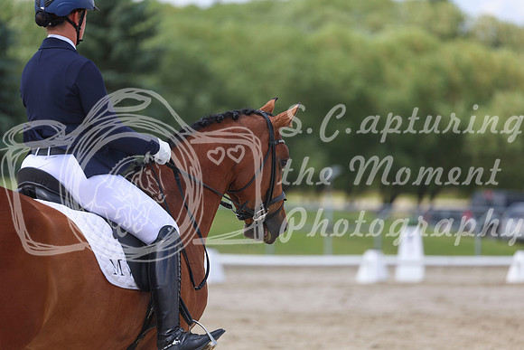 2025 - Dressage Festival - Saturday July 5th - 10464