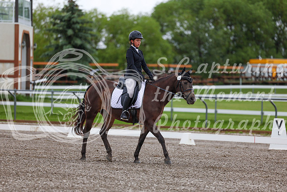 2025 - Dressage Festival - Sunday July 6th - 01626