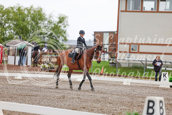 2025 - Dressage Festival - Sunday July 6th - 01811