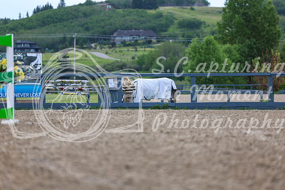 2025 - Shea - Mid Summer Classic I - Wednesday July 9th - 01020