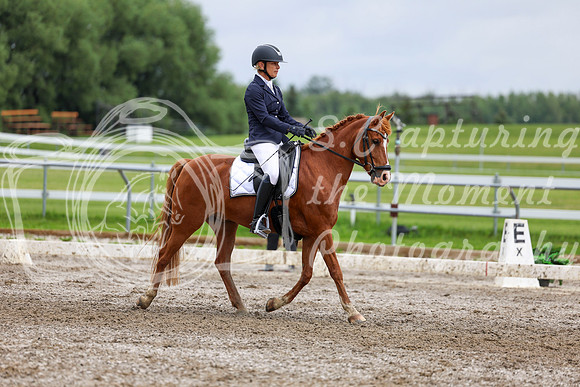 2025 - Dressage Festival - Sunday July 6th - 12217