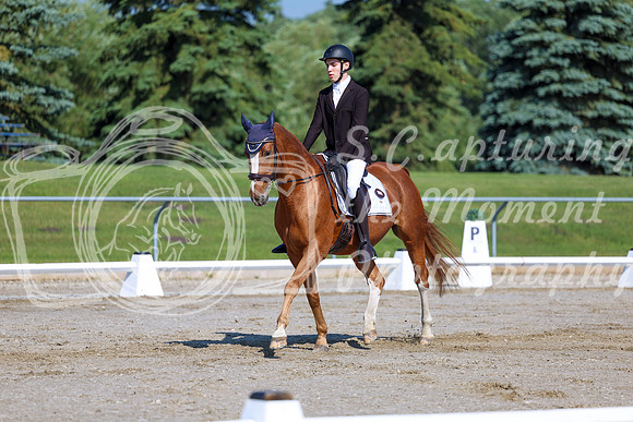 2025 - Dressage Festival - Saturday July 5th - 01701