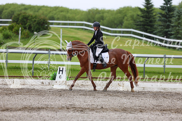 2025 - Dressage Festival - Sunday July 6th - 06102