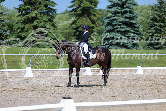 2025 - Dressage Festival - Saturday July 5th - 03646